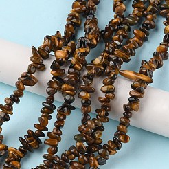 Природных тигровый глаз бисер нитей G-G0003-B22
