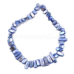 Нити бусин из натуральных пресноводных ракушек&nbsp;X-SHEL-N026-123G