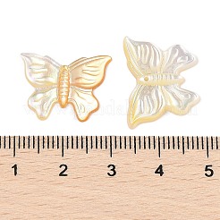 Подвески из натуральной желтой ракушки&nbsp;SSHEL-I026-05