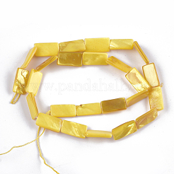 Бусины из пресноводных раковин&nbsp;SHEL-T010-04B