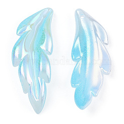 Transparenten Acryl-Anhänger&nbsp;TACR-TAC0005-03B