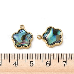 Natur Paua Muschel Anhänger&nbsp;STAS-G397-12G-02