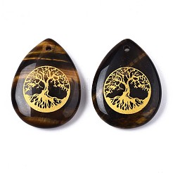 Природных тигровый глаз подвески G-T122-71C