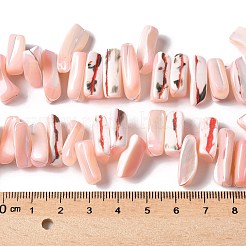 Окрашенные нити натуральных бусин-ракушек трохуса SSHEL-C013-09L