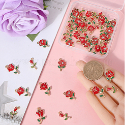 48шт 3 стиля подвески из сплава с эмалью&nbsp;ENAM-SC0004-79