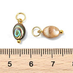 Natur Paua Muschel Anhänger&nbsp;PALLOY-JF05290-01