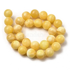 Brins de perles de jade jaune naturel&nbsp;X-G-A274-A01-14mm