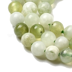 Новых природных нефрита нитей бисера G-K340-A01-4mm