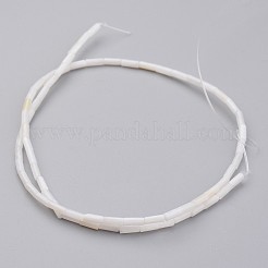 Conchiglia naturale fili di perle&nbsp;BSHE-P017-03