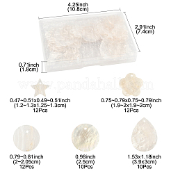 56 шт. 5 стиля подвески из натуральной ракушки капиз SHEL-FS0001-08