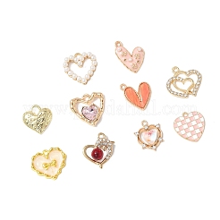 10шт 10 стиля подвески из сплава с эмалью&nbsp;ENAM-FP0002-64