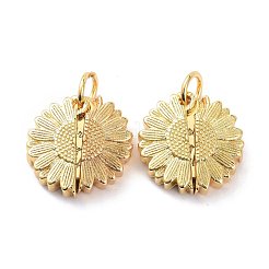 Кулоны из латуни с прозрачным кубическим цирконием&nbsp;KK-D004-14G