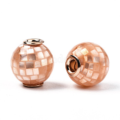 Натуральные белые бусины из ракушек SSHEL-N034-131H