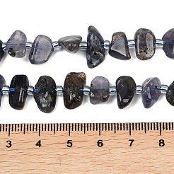 Naturperlen Stränge iolite&nbsp;G-L657-E04-01