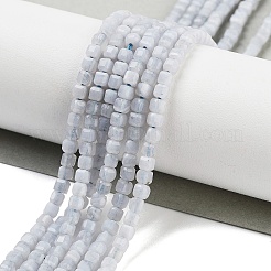 Натуральный голубой кружевной агат бисер нитей G-H042-B09-01