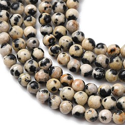 Natur Dalmatiner Jaspis Perlen Stränge&nbsp;LS-G-Z116-A10-3mm