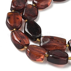 Perline ambra naturale fili&nbsp;G-L095-C01-03