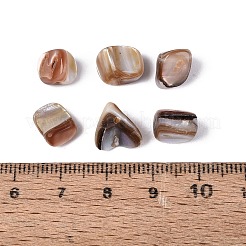 Natürlichen Süßwasser-Muschelperlen&nbsp;SHEL-ZX009-12