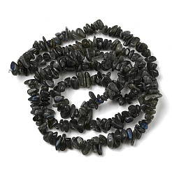 Естественно лабрадорита чип шарик нити G-M205-57A