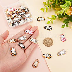 36шт 6 цвета сплава эмалевые подвески&nbsp;FIND-OC0002-94