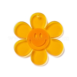 Прозрачные акриловые большие подвески&nbsp;OACR-P012-A01