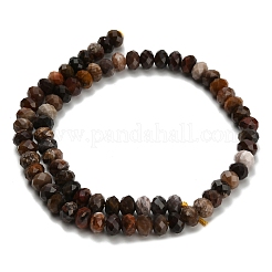 Природные окаменелое дерево бисер пряди G-Z111-A50