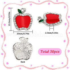 30 шт. Подвески из сплава с эмалью&nbsp;FIND-SC0012-87