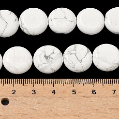 Природные Говлит бисер нитей&nbsp;G-L648-B17-15mm