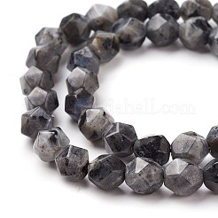 Натуральный кунжут яшма / киви нитки бусины яшмы G-F545-C10