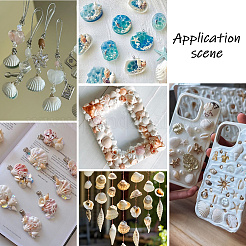 Бусины из натуральных ракушек SHEL-SP0001-03