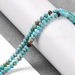 Chapelets de perles en howlite naturelle&nbsp;G-H025-03B-01