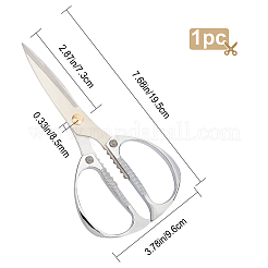 Forbice in acciaio inossidabile&nbsp;AJEW-GF0004-28S