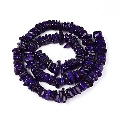 Нити бусин из натуральных пресноводных ракушек SHEL-T020-40B