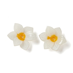 Tappi di perline di resina opaca, multi-petalo, fiore, bianco, 22.8x20x9mm, Foro: 1 mm