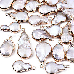 Pendentifs de perle keshi perle baroque naturelle galvanoplastie, perle de culture d'eau douce, avec les accessoires en fer, plat rond, or, 20~35x10~16x4~8 mmmm, Trou: 1.8mm