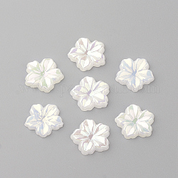 Cabochons acrilico, ab colore placcato, fiore, bianco, 12.5x13x2mm
