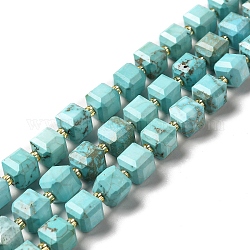 Chapelets de perles en howlite naturelle, teinte, facette, cube, turquoise, 8x8x8mm, Trou: 1mm, Environ 40 pcs/chapelet, 15.24 pouce (38.7 cm)