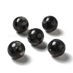 Perles de larvikite naturelles, pas de trous / non percés, ronde, 25~25.5mm