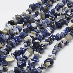 Chapelets de perles en sodalite naturelle, puce, bleu, 3~5x7~13x2~4mm, Trou: 0.4mm, 31.5 pouce