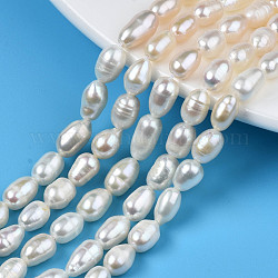 Fili di perle di perle d'acqua dolce coltivate naturali, riso, colore conchiglia, 7.5~10.5x5~6mm, Foro: 0.7 mm, circa 20~21pcs/filo, 6.85 pollice ~ 7.09 pollici (17.4 cm ~ 18 cm)