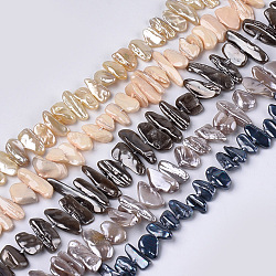 Chapelets de perles en coquille électrolytique, puce, couleur mixte, 6~13x10~36x3~7mm, Trou: 1mm, Environ 38~42 pcs/chapelet, 13.7 pouce