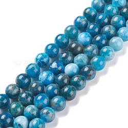 Chapelets de perles en apatite naturelle, ronde, 8mm, Trou: 1mm, Environ 49 pcs/chapelet, 15.5 pouce (39.5 cm)