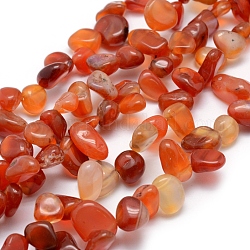 Natural Carnelian Beads Strands, Nuggets, Orange Red, 11~22x8~11x4~10mm, Hole: 1mm, 15.3 inch(39cm)