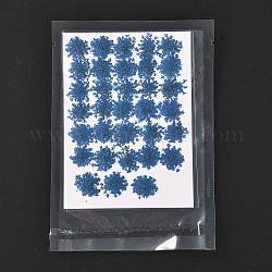 Fleurs séchées pressées, pour téléphone portable, Cadre photo, scrapbooking bricolage fait main artisanat, bleu, 15~20x13~19mm, 100 pcs /sachet 