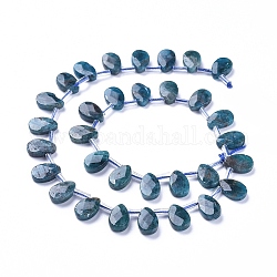 Natürliche Apatit Perlen Stränge, oben gebohrte Perlen, facettiert, Träne, 12~13x8.5x3~4 mm, Bohrung: 0.6 mm, ca. 32 Stk. / Strang, 15.55 Zoll (39.5 cm)