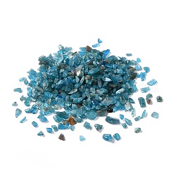 Natürliche Apatit-Chip-Perlen, kein Loch / ungekratzt, 2~12x2~10x1~3 mm, ca. 11200 Stk. / 1000 g