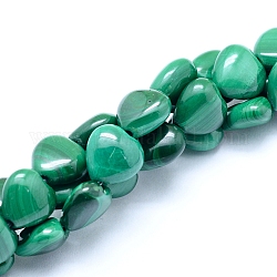 Chapelets de perles en malachite naturelle, cœur, 8x8x4mm, Trou: 0.6mm, Environ 52 pcs/chapelet, 15.75 pouce (40 cm)