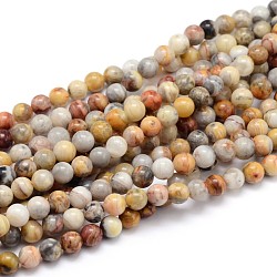 De piedras preciosas naturales hebras de perlas reronda, ágata loca, 6mm, agujero: 1 mm, aproximamente 64 pcs / cadena, 16 pulgada