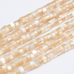 Fili di perle di conchiglia trochid naturale / trochus, colonna, bisque, 3.5~4x2~2.5mm, Foro: 0.8 mm, circa 176pcs/filo, 15.94 pollice (40.5 cm)