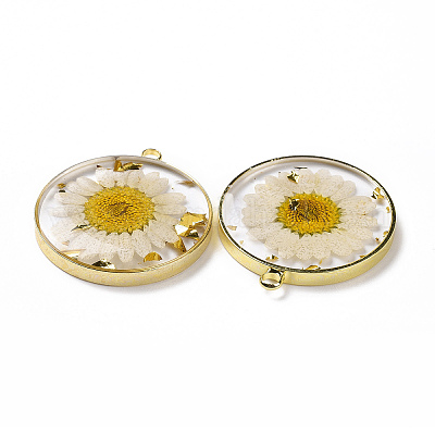 Подвески из прозрачной эпоксидной смолы RESI-L036-12G-08-1